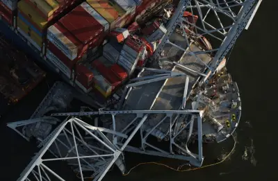 A misplaced wire label on a container ship and other mishaps likely caused the Baltimore bridge collapse, NTSB says