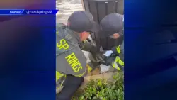 Firefighters rescue raccoon caught under a trash can